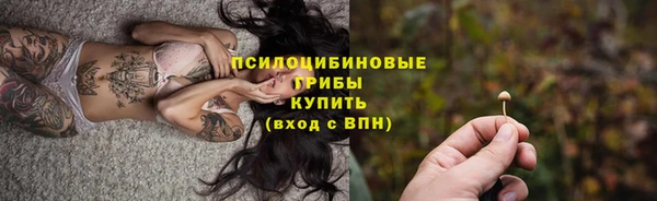марки lsd Белокуриха