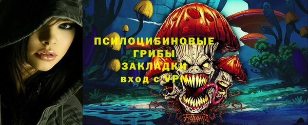 марки lsd Белокуриха