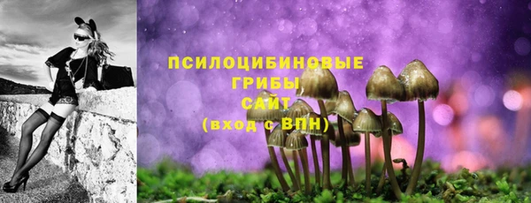 синтетический гашиш Богородск