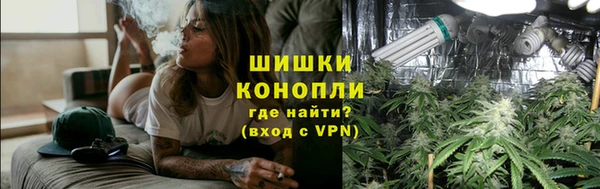 гашик Богданович