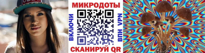 где продают наркотики  Городец  Галлюциногенные грибы Magic Shrooms 