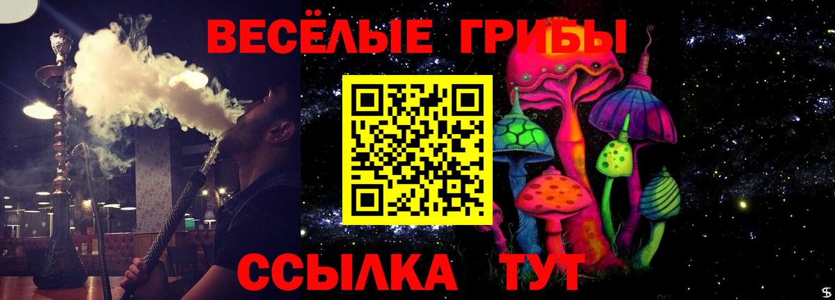 Галлюциногенные грибы MAGIC MUSHROOMS Городец